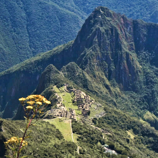 view of Machu Picchu from part way up machu picchu mountain